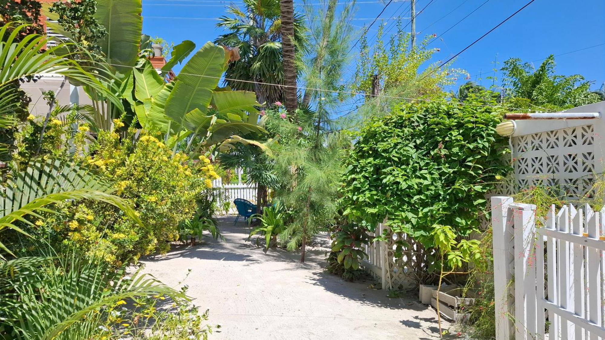 Amanda'S Place Green Studio - Pool And Tropical Garden キー・カーカー エクステリア 写真