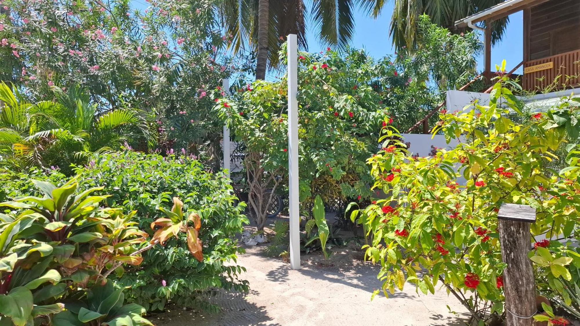 Amanda'S Place Green Studio - Pool And Tropical Garden キー・カーカー エクステリア 写真