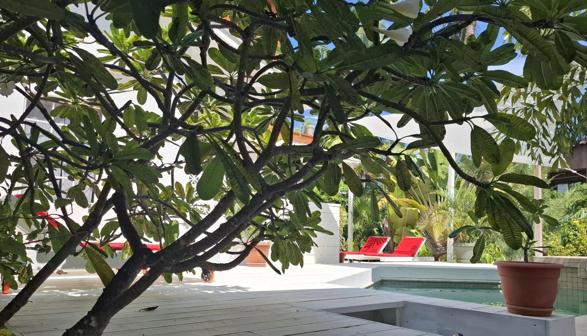 Amanda'S Place Green Studio - Pool And Tropical Garden キー・カーカー エクステリア 写真
